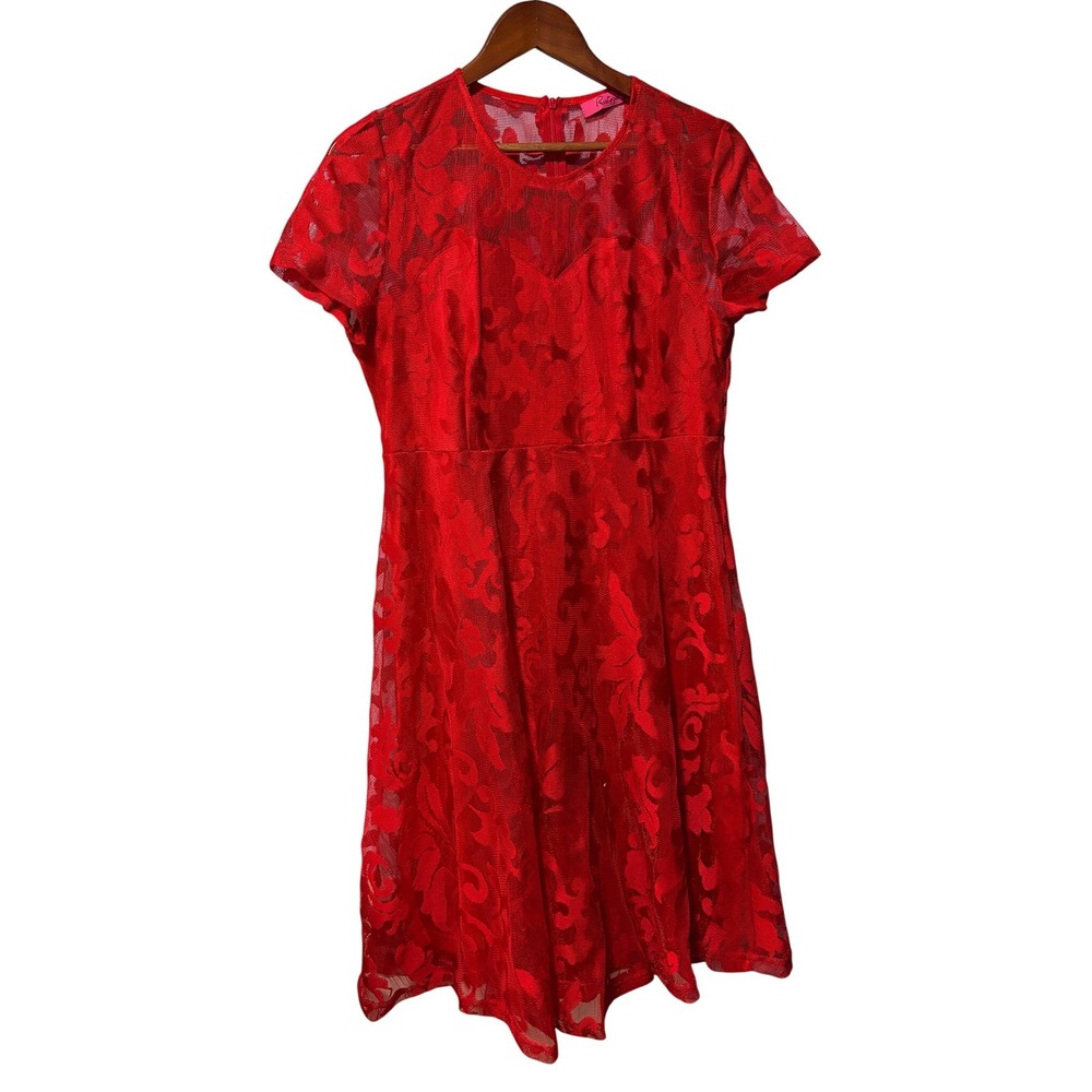 Ruiyige Red Floral Lace Fit and Flare Dress Short Sleeve Crew Neck XL